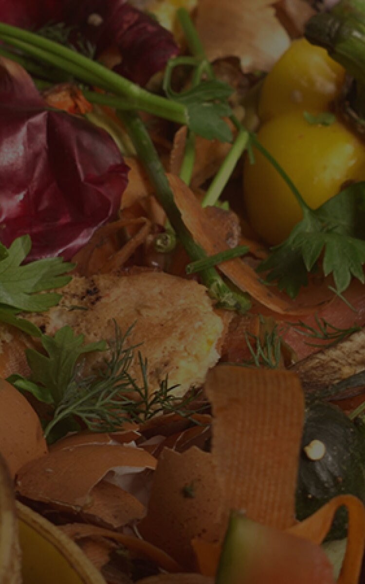 grundig-april24-3-hero-mobile grundig-april24-3-hero-mobile