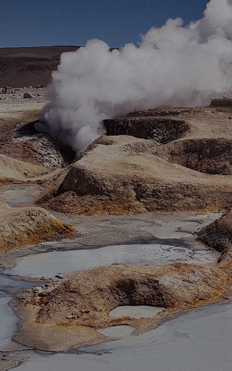 Purifying Power of High Temperatures for hygiene in the kitchen Purifying Power of High Temperatures for hygiene in the kitchen
