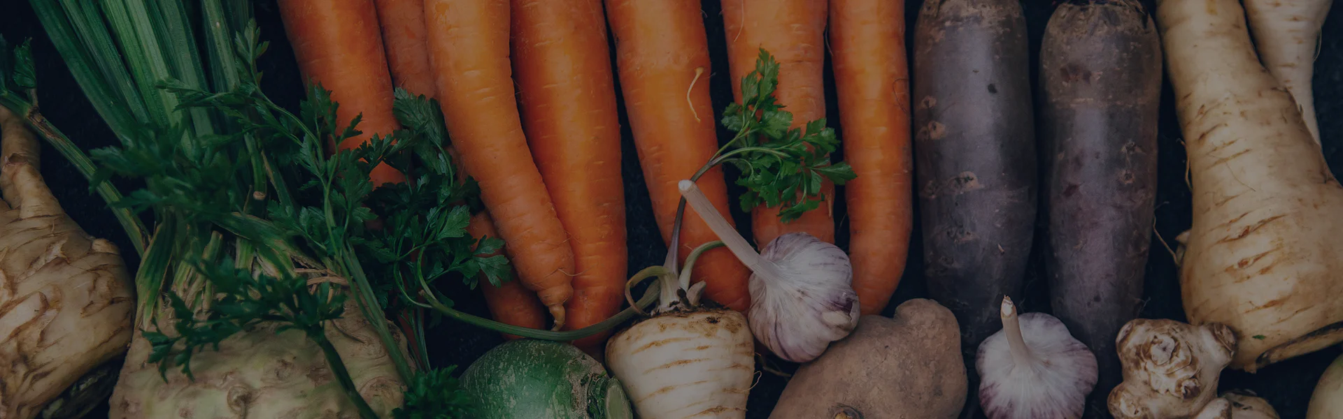 Recettes de Saison pour le Bien-être