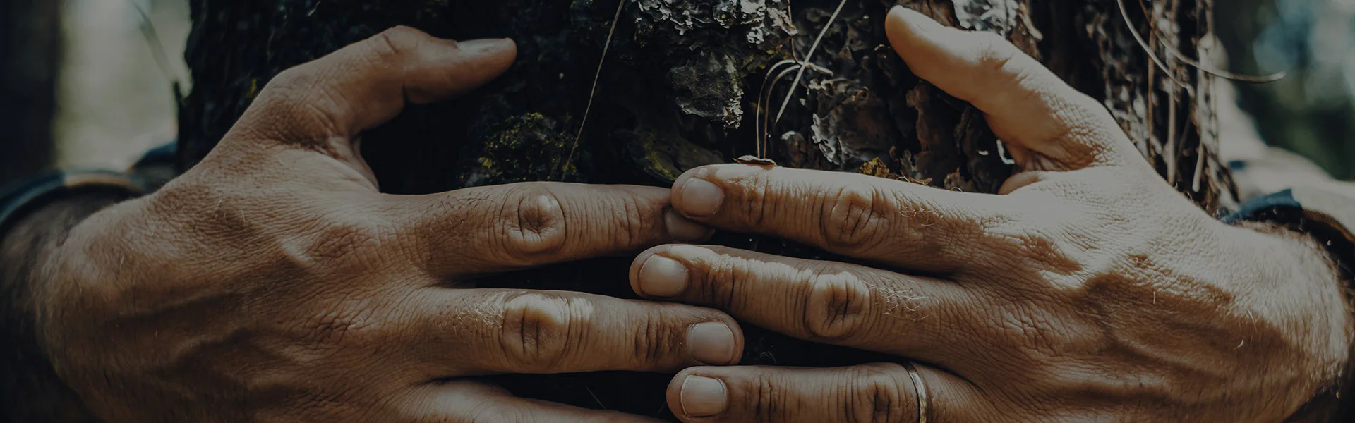 How can you go green and save energy at home How can you go green and save energy at home