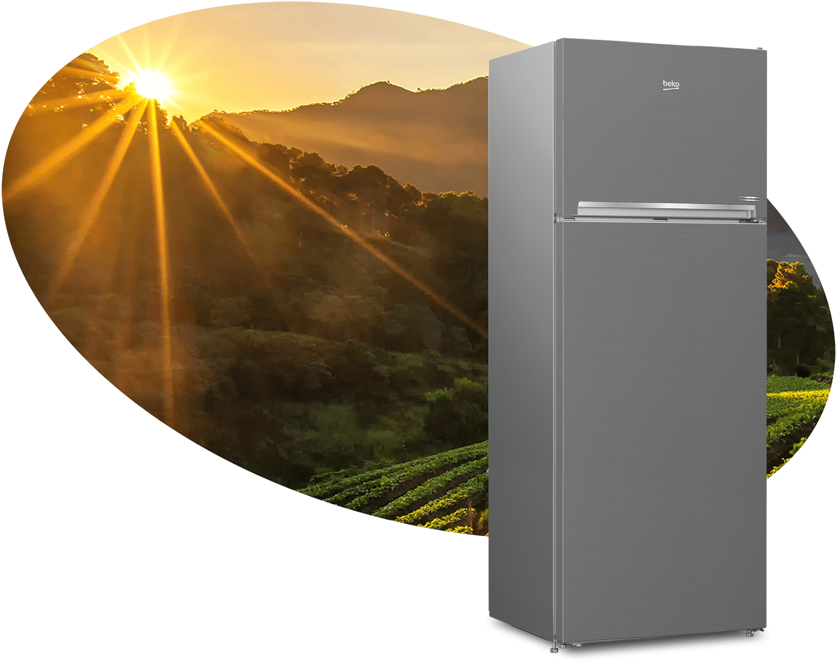 Réfrigérateur-congélateur (Double portes, 83.2 cm)